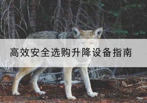 新县升降货梯厂家推荐-*安全选购升降设备指南