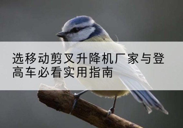 新县电动升降机厂家-选移动剪叉升降机厂家与登高车必看实用指南