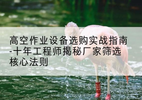 新县剪叉式升降机厂家-高空作业设备选购实战指南-十年工程师揭秘厂家筛选核心法则